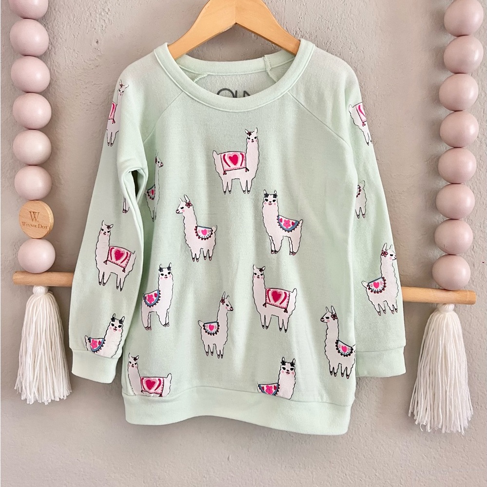 Chaser Mint Green Llama Sweatshirt